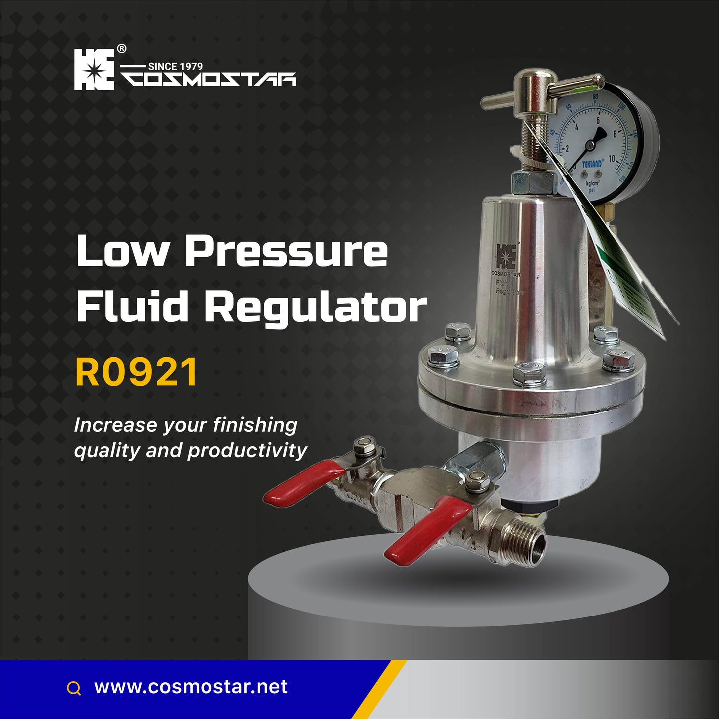 COSMOSTAR R0921 Low Pressure Fluid Regulator, Max. Fluid Inlet Pressure 145 PSI, Aluminium