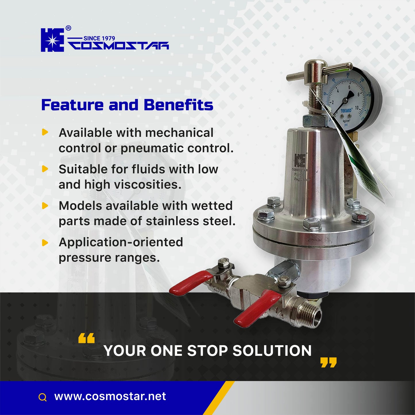 COSMOSTAR R0921 Low Pressure Fluid Regulator, Max. Fluid Inlet Pressure 145 PSI, Aluminium