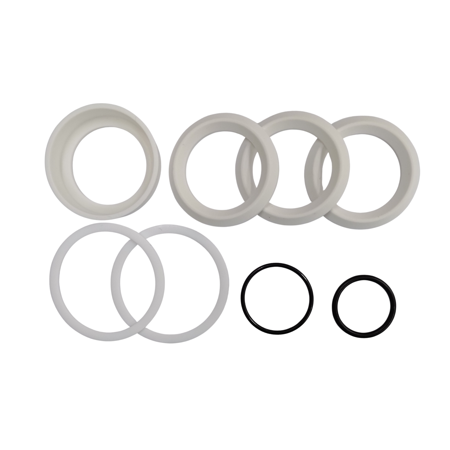 P0201 / P0204 Transfer Pump Lower Repair Kit